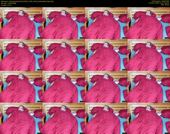 hanssexchat2