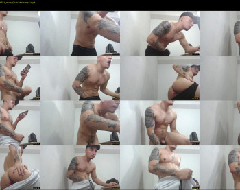 rocco_viloria