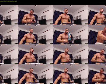 roccoomuscles