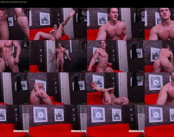 steevemuscle