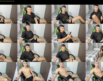 _mestymys