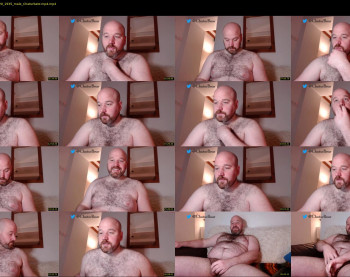 bear_necessity_
