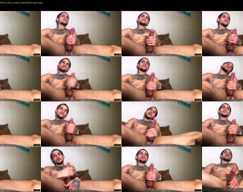 bigsalamitommy03