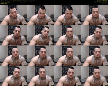 thebestmuscles