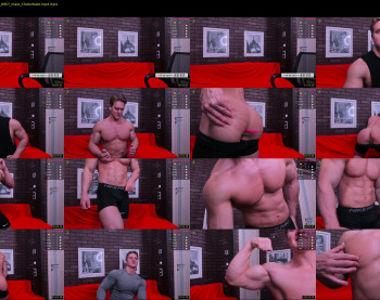 steevemuscle