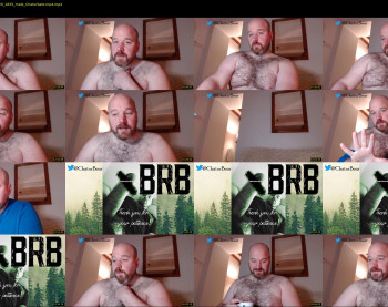 bear_necessity_