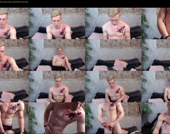 martin_anderson