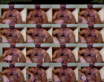 musclbear