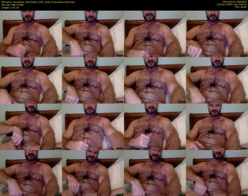 musclbear