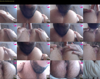papimodels