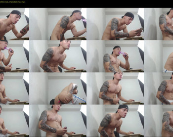 rocco_viloria