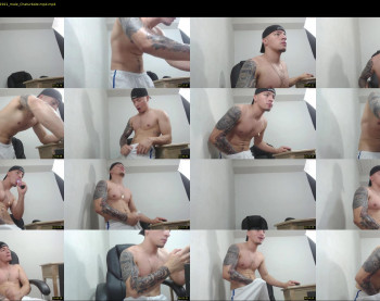 rocco_viloria
