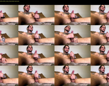 bigsalamitommy03