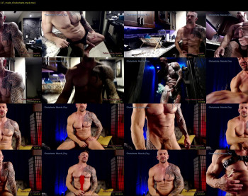 muscle_dog