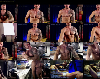 muscle_dog