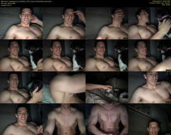 noobgains