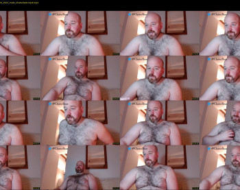 bear_necessity_