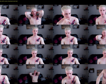 martin_anderson