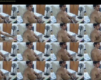 gatosarado23