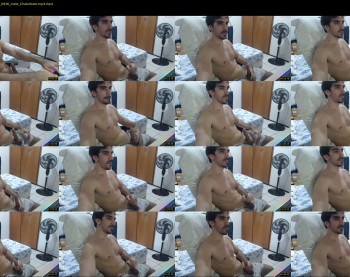 gatosarado23