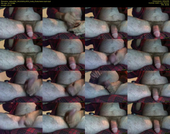 vaboy356