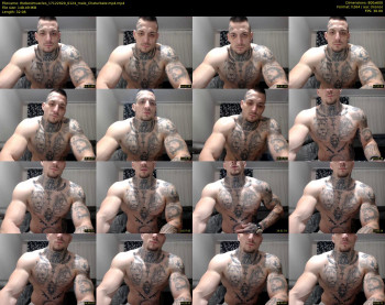 thebestmuscles