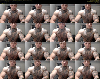thebestmuscles