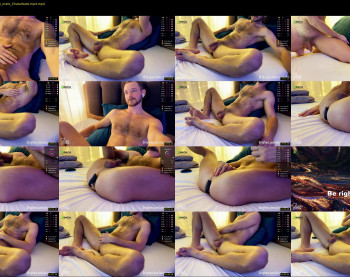 alexyork