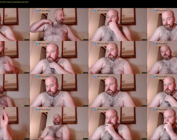 bear_necessity_