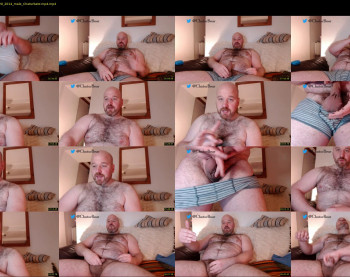 bear_necessity_