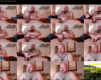 bear_necessity_