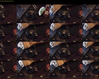dajeweller