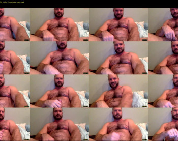 musclbear