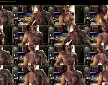 muscle_dog