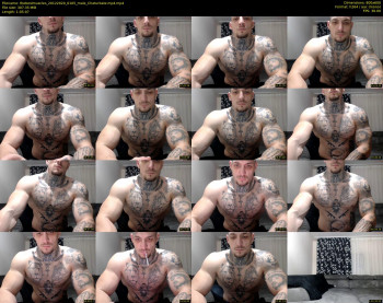 thebestmuscles