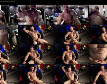 muscle_dog