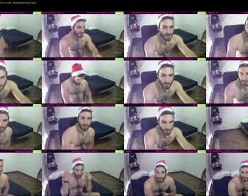 osito_blanco
