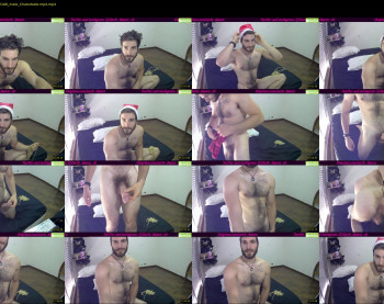 osito_blanco