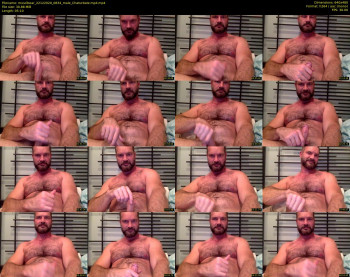 musclbear
