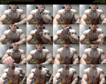 thebestmuscles