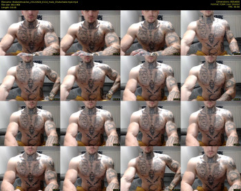thebestmuscles