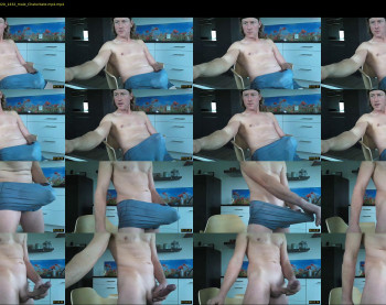 bigtoyboyholland