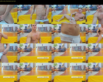 steevemuscle