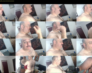bullmusclejoe