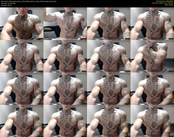 thebestmuscles