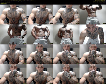 thebestmuscles