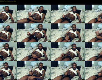 mrthirdlegg312