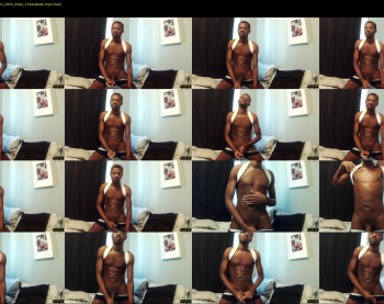 mrthirdlegg312