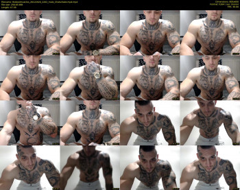 thebestmuscles