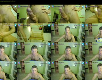 apollobest77